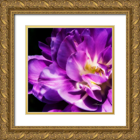 Purple Petals Gold Ornate Wood Framed Art Print with Double Matting by Hausenflock, Alan