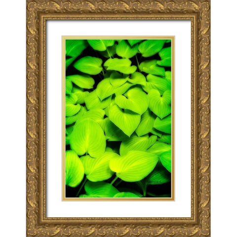Heart Profusion Gold Ornate Wood Framed Art Print with Double Matting by Hausenflock, Alan