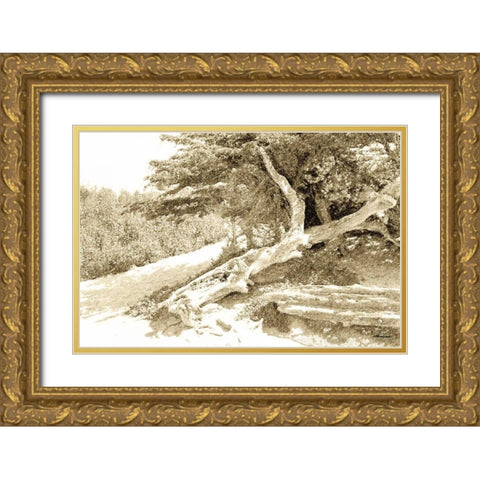 Carmel Beach I Gold Ornate Wood Framed Art Print with Double Matting by Hausenflock, Alan