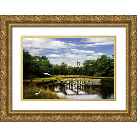 Egret on the Wing Gold Ornate Wood Framed Art Print with Double Matting by Hausenflock, Alan