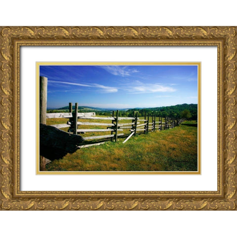 Winchester County Gold Ornate Wood Framed Art Print with Double Matting by Hausenflock, Alan