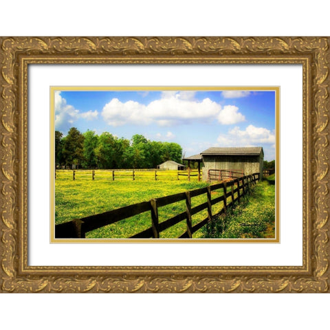 Spring on the Ranch Gold Ornate Wood Framed Art Print with Double Matting by Hausenflock, Alan