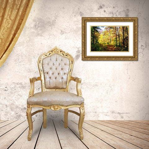 Autumn Colors Gold Ornate Wood Framed Art Print with Double Matting by Hausenflock, Alan