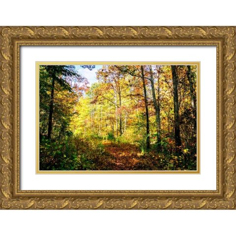 Autumn Colors Gold Ornate Wood Framed Art Print with Double Matting by Hausenflock, Alan