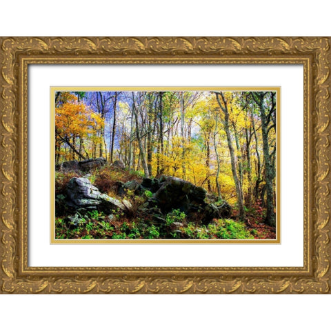 Turning Seasons Gold Ornate Wood Framed Art Print with Double Matting by Hausenflock, Alan