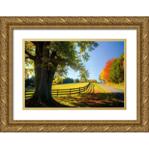 A Virginia Byway Gold Ornate Wood Framed Art Print with Double Matting by Hausenflock, Alan