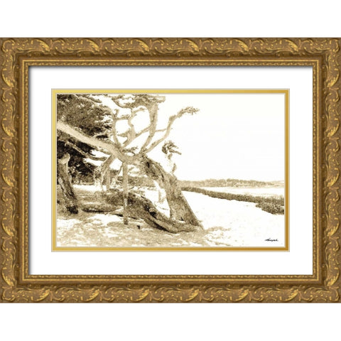 Carmel Beach II Gold Ornate Wood Framed Art Print with Double Matting by Hausenflock, Alan