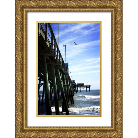 Gentle Summer Day Gold Ornate Wood Framed Art Print with Double Matting by Hausenflock, Alan