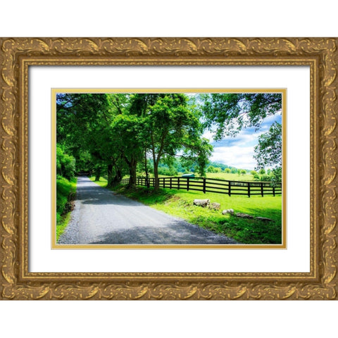 The Road Home Gold Ornate Wood Framed Art Print with Double Matting by Hausenflock, Alan