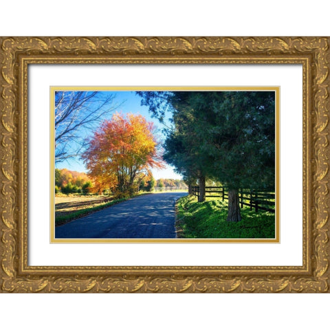 The Road Home II Gold Ornate Wood Framed Art Print with Double Matting by Hausenflock, Alan