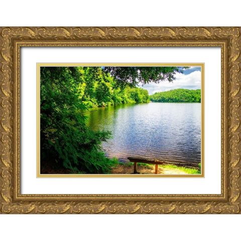 Holiday Lake Gold Ornate Wood Framed Art Print with Double Matting by Hausenflock, Alan