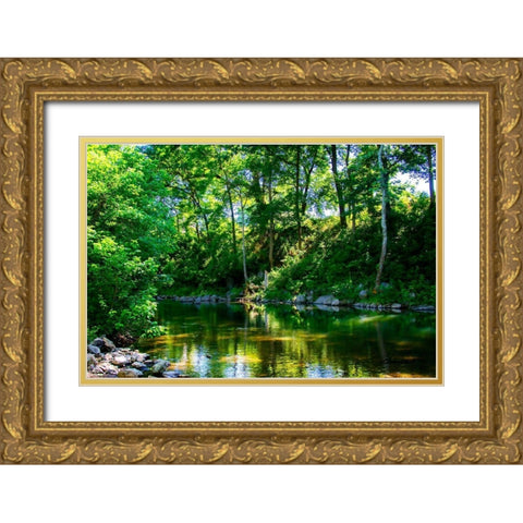 Stony Creek Gold Ornate Wood Framed Art Print with Double Matting by Hausenflock, Alan
