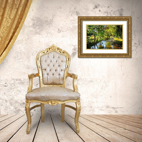 Happy Little Stream Gold Ornate Wood Framed Art Print with Double Matting by Hausenflock, Alan