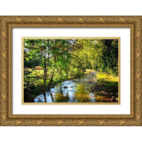 Happy Little Stream Gold Ornate Wood Framed Art Print with Double Matting by Hausenflock, Alan