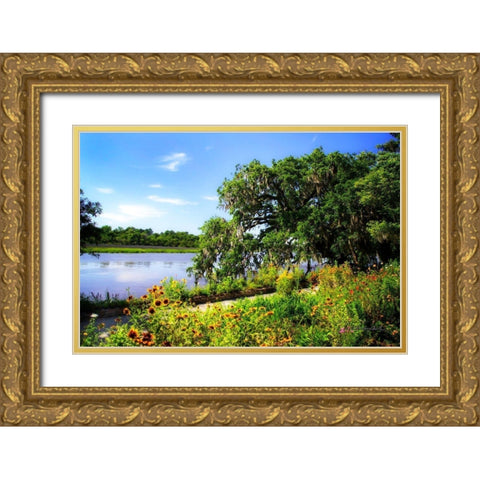 Flowers Along the River Gold Ornate Wood Framed Art Print with Double Matting by Hausenflock, Alan