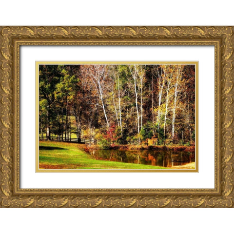 Horse Pond Gold Ornate Wood Framed Art Print with Double Matting by Hausenflock, Alan