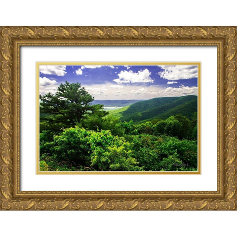 Dickey Ridge Gold Ornate Wood Framed Art Print with Double Matting by Hausenflock, Alan
