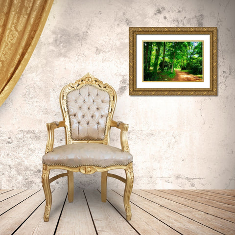 Barbourville Woods Gold Ornate Wood Framed Art Print with Double Matting by Hausenflock, Alan