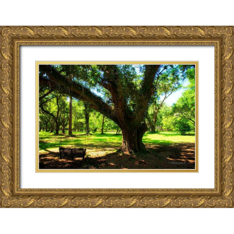 Tree Swing Gold Ornate Wood Framed Art Print with Double Matting by Hausenflock, Alan