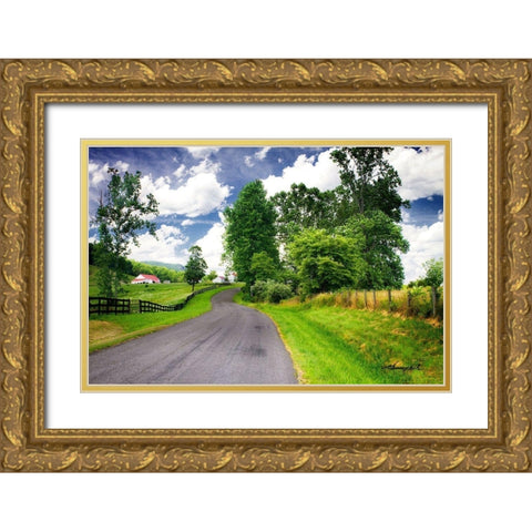 Virginia Byway Gold Ornate Wood Framed Art Print with Double Matting by Hausenflock, Alan