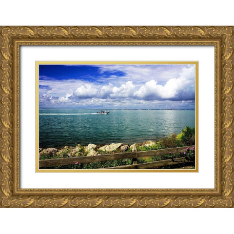 Back to the Dock Gold Ornate Wood Framed Art Print with Double Matting by Hausenflock, Alan