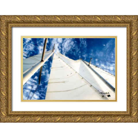 Windjammer I Gold Ornate Wood Framed Art Print with Double Matting by Hausenflock, Alan