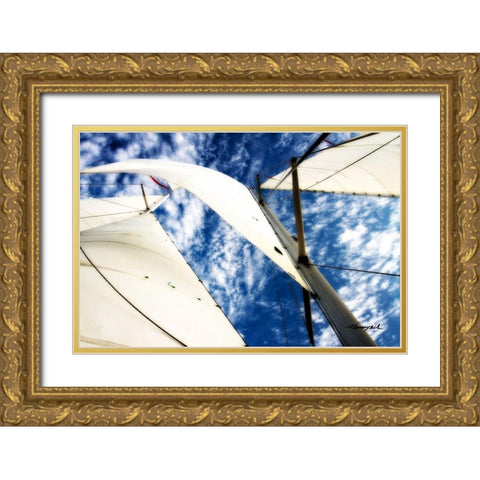 Windjammer II Gold Ornate Wood Framed Art Print with Double Matting by Hausenflock, Alan