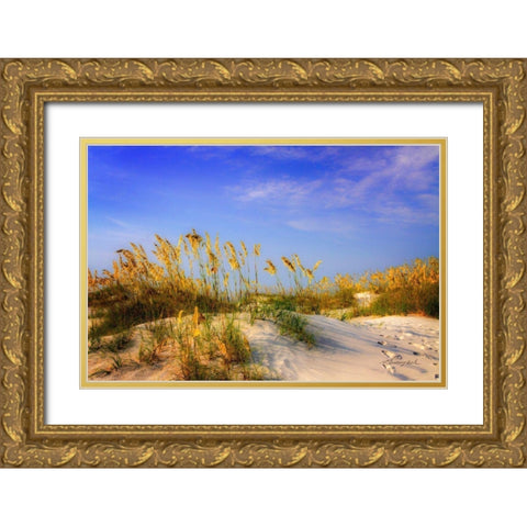 Waving Sea Oats Gold Ornate Wood Framed Art Print with Double Matting by Hausenflock, Alan