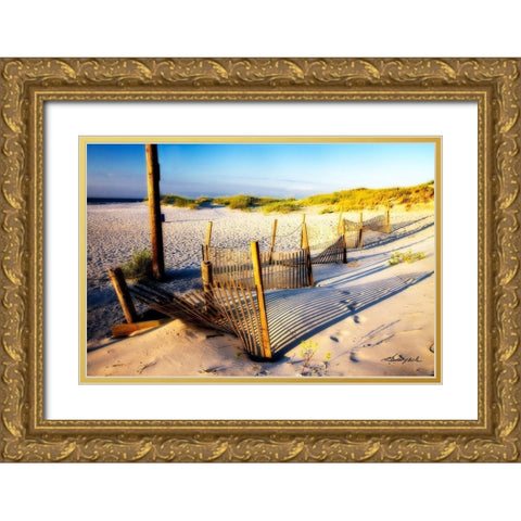 Sand and Sunshine Gold Ornate Wood Framed Art Print with Double Matting by Hausenflock, Alan