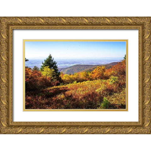 Skyline Drive 6 Gold Ornate Wood Framed Art Print with Double Matting by Hausenflock, Alan