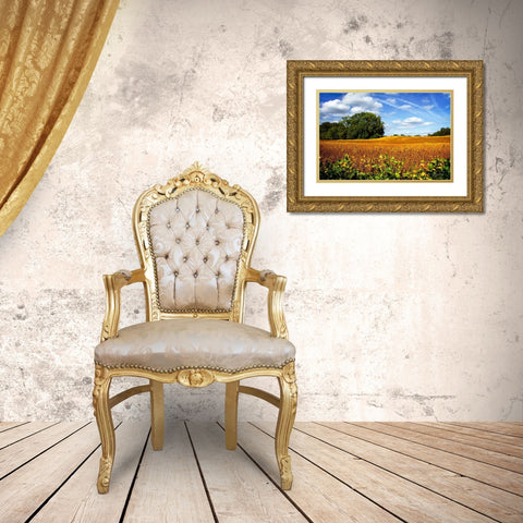 Soybean Harvest Gold Ornate Wood Framed Art Print with Double Matting by Hausenflock, Alan