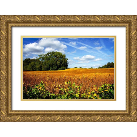 Soybean Harvest Gold Ornate Wood Framed Art Print with Double Matting by Hausenflock, Alan