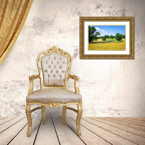 Farming Fields Gold Ornate Wood Framed Art Print with Double Matting by Hausenflock, Alan