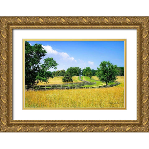 Farming Fields Gold Ornate Wood Framed Art Print with Double Matting by Hausenflock, Alan