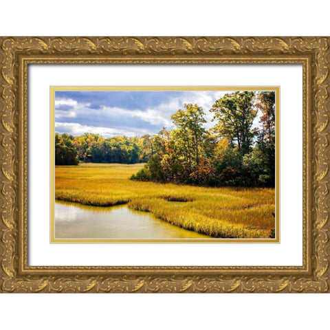 York River Delta Gold Ornate Wood Framed Art Print with Double Matting by Hausenflock, Alan