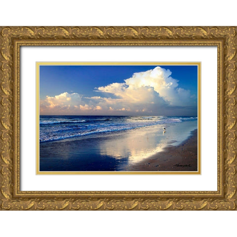 Seagull on the Shore Gold Ornate Wood Framed Art Print with Double Matting by Hausenflock, Alan
