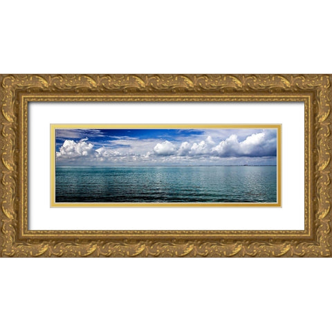 blue Horizon Gold Ornate Wood Framed Art Print with Double Matting by Hausenflock, Alan