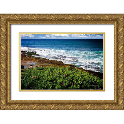 La Jolla Shore Gold Ornate Wood Framed Art Print with Double Matting by Hausenflock, Alan