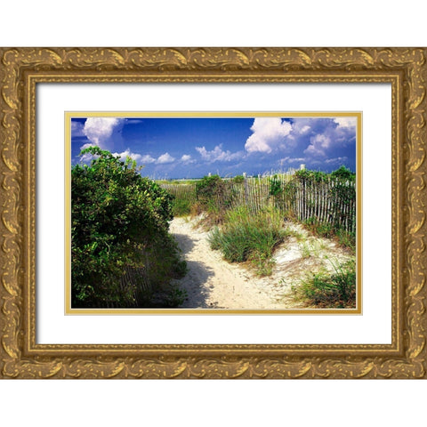 Sandy Walkway Gold Ornate Wood Framed Art Print with Double Matting by Hausenflock, Alan