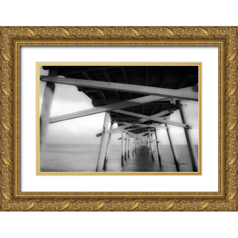 Pier Gold Ornate Wood Framed Art Print with Double Matting by Hausenflock, Alan