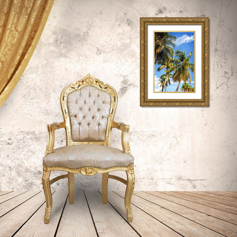 Sunlit Palms Gold Ornate Wood Framed Art Print with Double Matting by Hausenflock, Alan