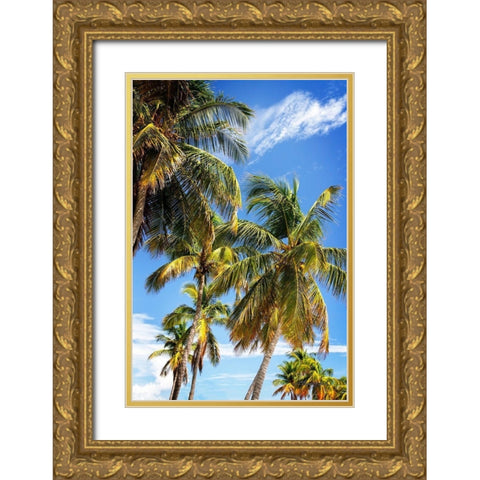 Sunlit Palms Gold Ornate Wood Framed Art Print with Double Matting by Hausenflock, Alan