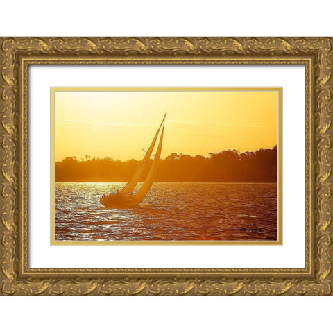 Sailing into the Gold Gold Ornate Wood Framed Art Print with Double Matting by Hausenflock, Alan