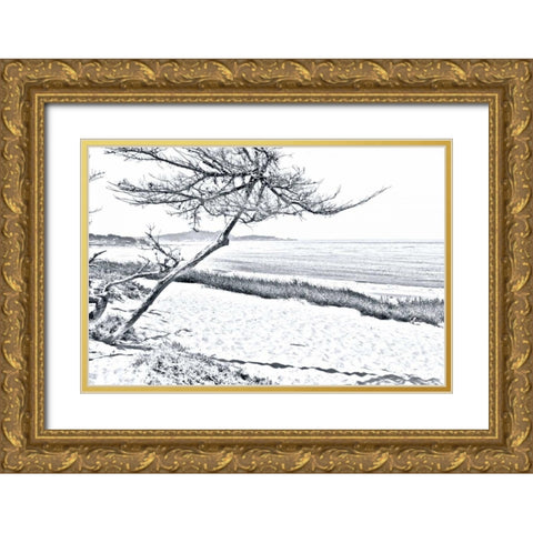 Carmel Beach III Gold Ornate Wood Framed Art Print with Double Matting by Hausenflock, Alan