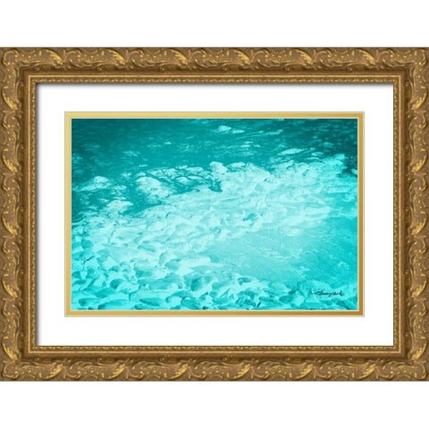 The Shore Gold Ornate Wood Framed Art Print with Double Matting by Hausenflock, Alan