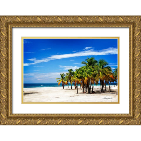 Palms on the Beach IV Gold Ornate Wood Framed Art Print with Double Matting by Hausenflock, Alan