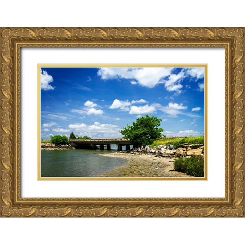 Bridge to Tomorrow Gold Ornate Wood Framed Art Print with Double Matting by Hausenflock, Alan