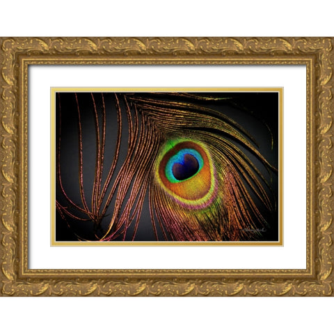 Peacock Feather I Gold Ornate Wood Framed Art Print with Double Matting by Hausenflock, Alan