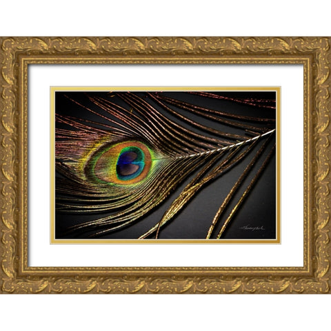 Peacock Feather II Gold Ornate Wood Framed Art Print with Double Matting by Hausenflock, Alan