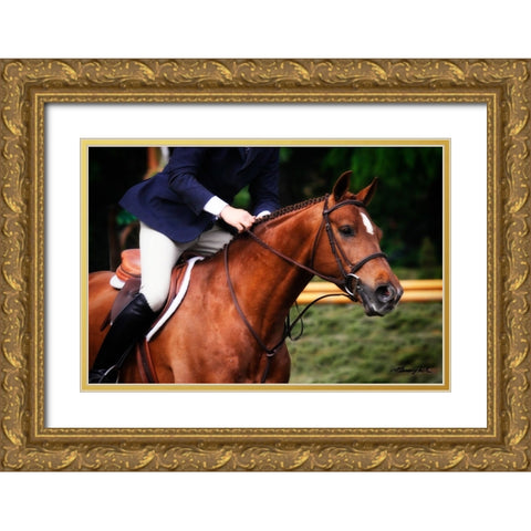 Dressage I Gold Ornate Wood Framed Art Print with Double Matting by Hausenflock, Alan